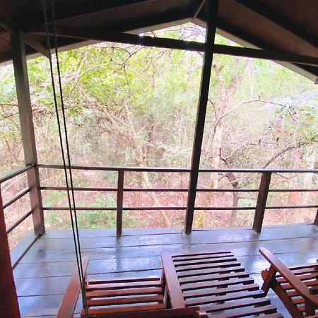 The Inn On The Tree Sigiriya Bagian luar foto