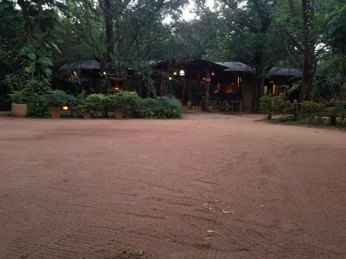 The Inn On The Tree Sigiriya Bagian luar foto