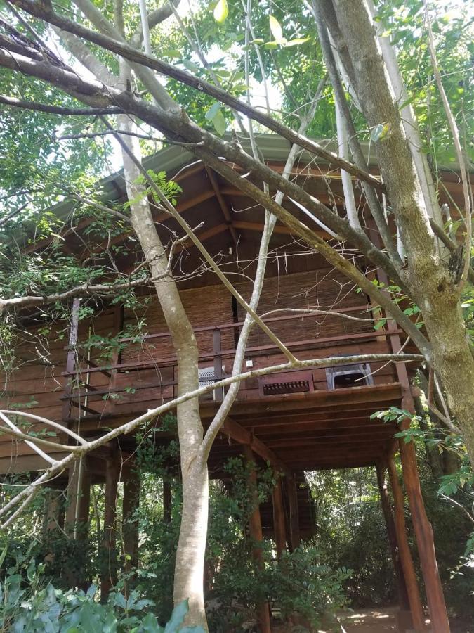 The Inn On The Tree Sigiriya Bagian luar foto