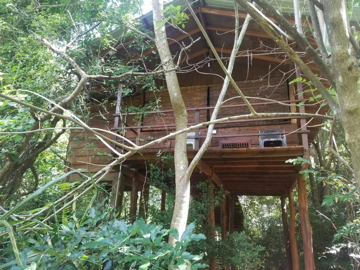 The Inn On The Tree Sigiriya Bagian luar foto