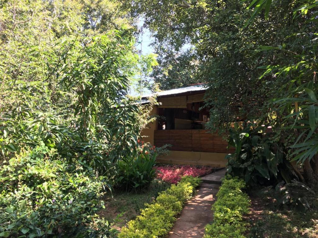 The Inn On The Tree Sigiriya Bagian luar foto