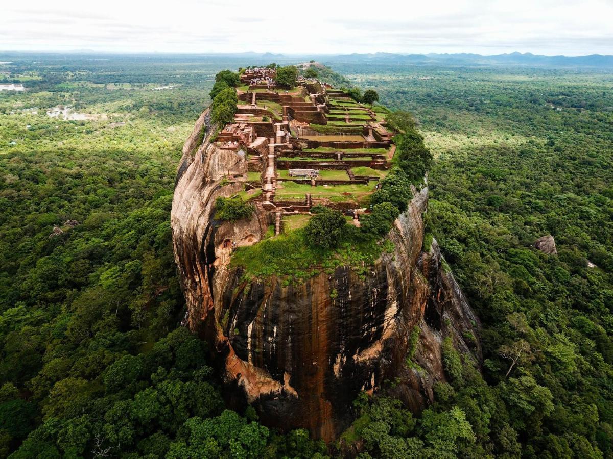 The Inn On The Tree Sigiriya Bagian luar foto