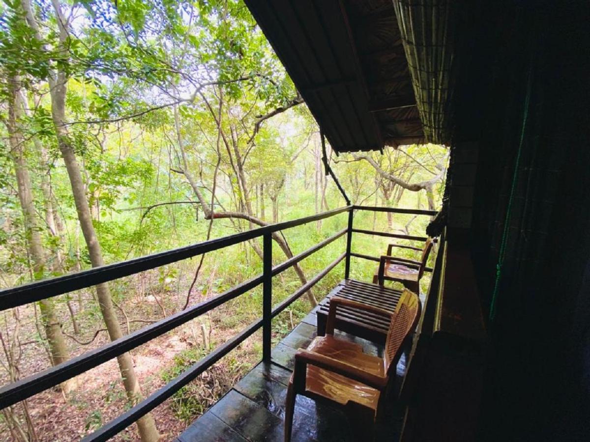The Inn On The Tree Sigiriya Bagian luar foto